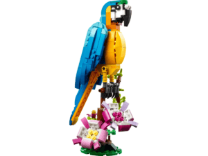 exotic parrot 31136